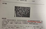 爱康国宾多地分支机构吊注，仅剩武汉分公司存续