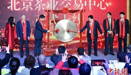 北京茶业交易中心上线 为首都唯一持牌茶业类金融交易平台