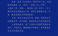 警方通报“飞机上乘客打架”：因聊天声音问题发生口角引发肢体冲突，3人被行拘，2人被行政罚款