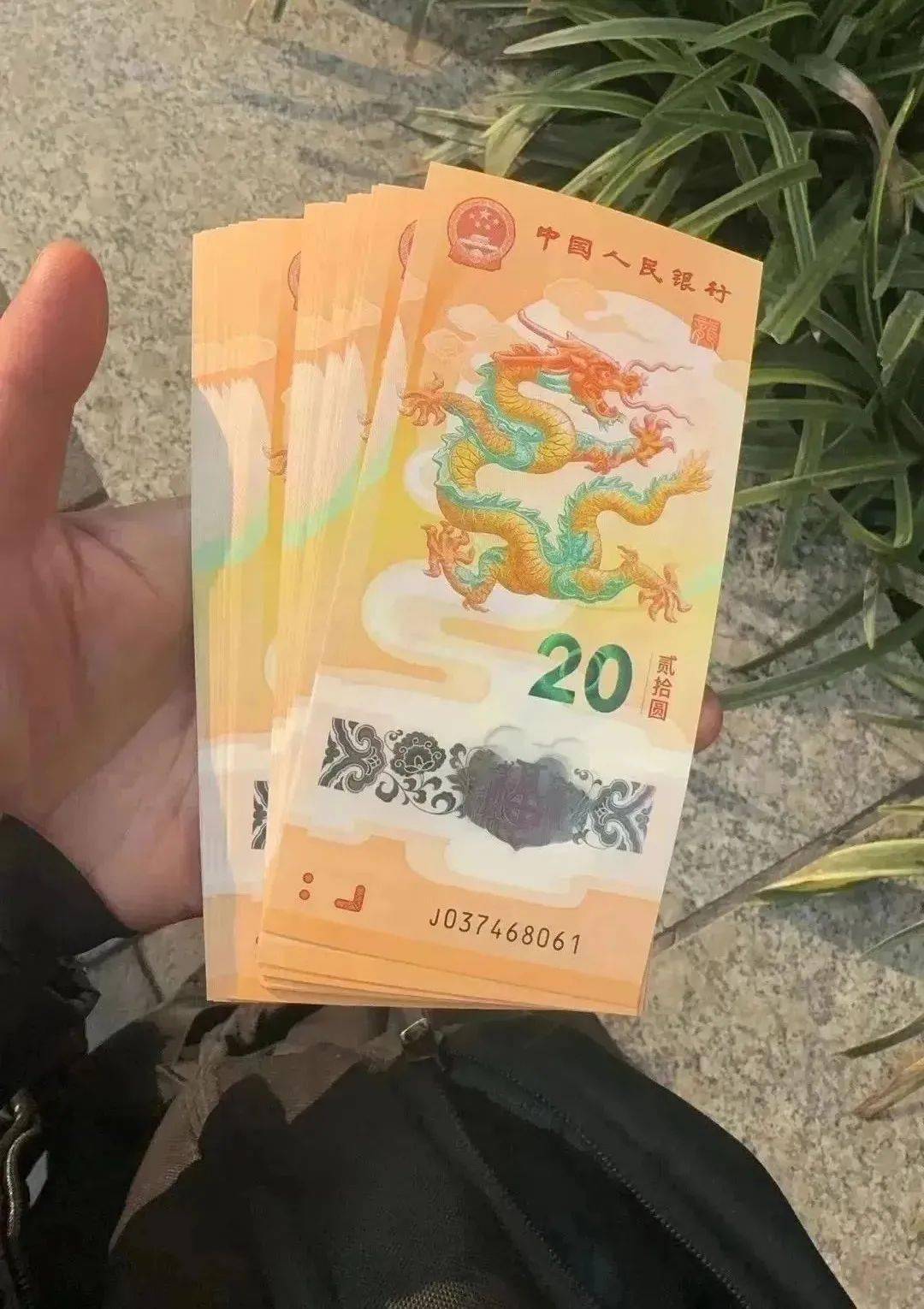 兑换第1天！龙币龙钞实物高清图来了！价格起飞！