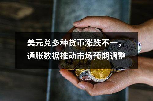 美元兑多种货币涨跌不一，通胀数据推动市场预期调整