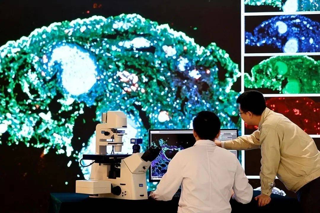 科研模式“一锤子买卖“？不！高能级科创平台建到企业去