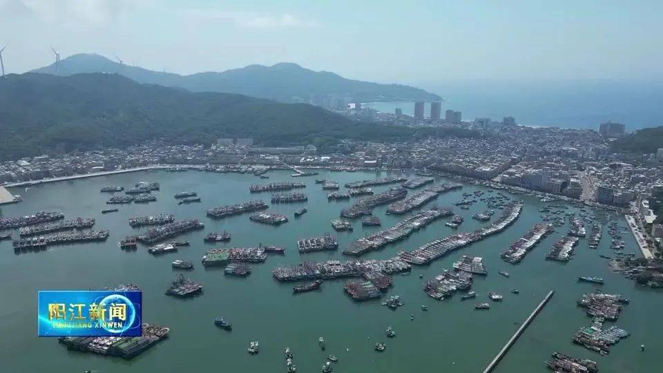 蓝色崛起阳江行｜闸坡国际海产交易市场：努力打造权威的渔业行业交易平台